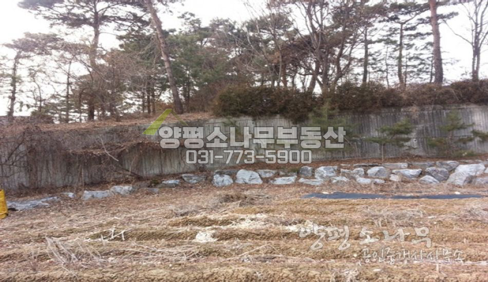 양평군 양평읍 버스정류장근처 토목된 주택지