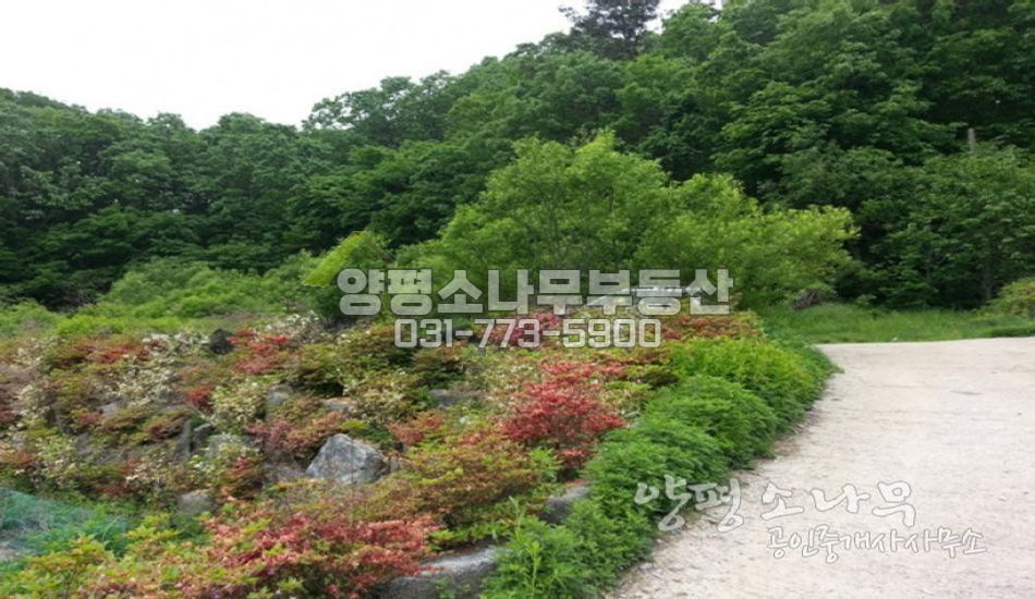 양평군 양서면 마을 깊숙한곳 전원주택지