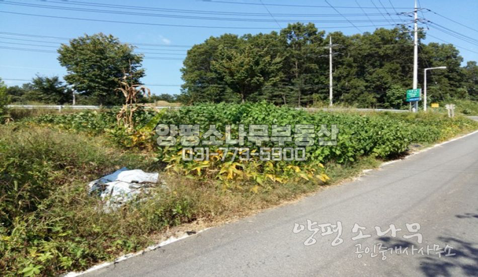 양평군 지평면 수곡리  대로변 활용도 좋은 토지