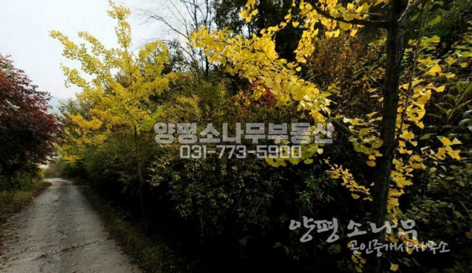 양평군 옥천면 산자락낀 한적한 주택지