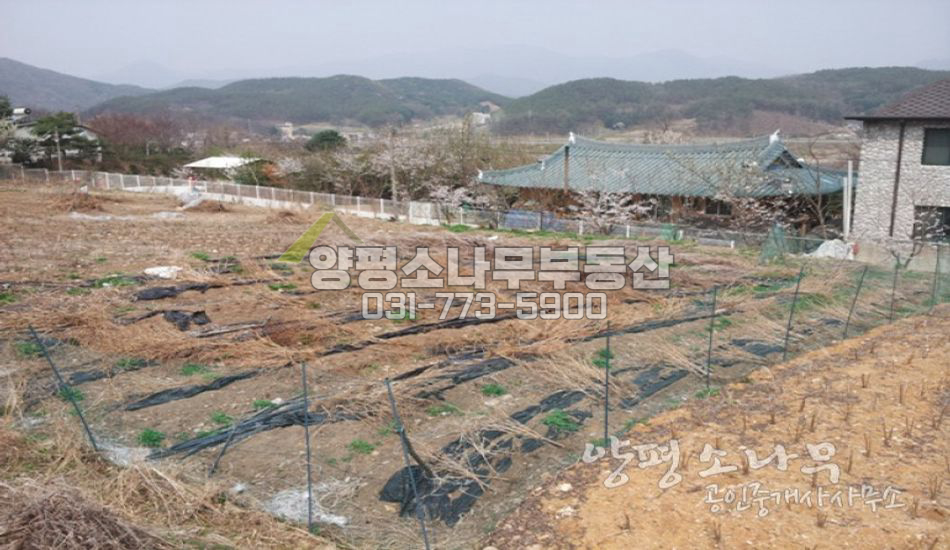 양평군 용문면 [평당65만]편안한 입지의 주택지