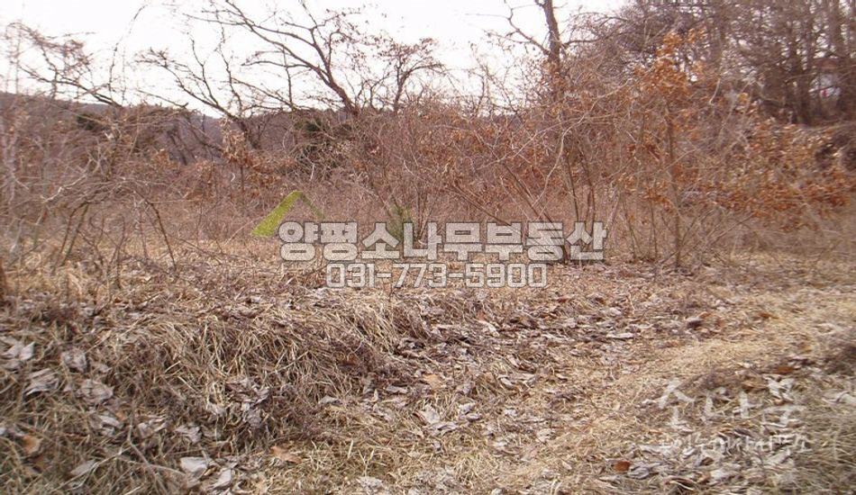 양평군 강하면 [평당100만원]국도에서 약200미터지 지점의 부지 
