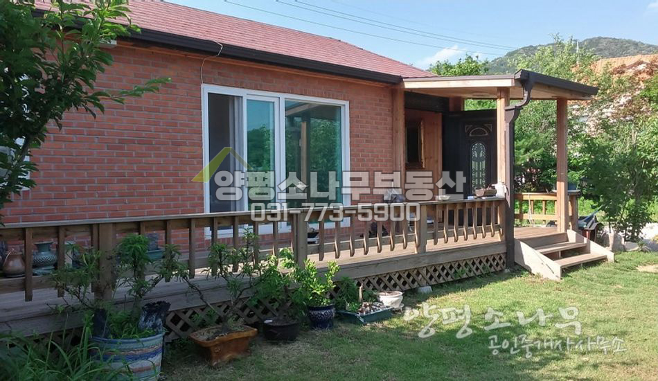 양평군 지평면 블루베리농장 운영중/대터