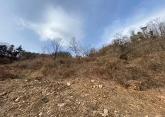 서종면 수능리 과거 수목원 부지/두물머리ic인근