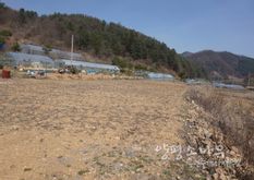 단월면 [평당42만]도로접근 좋은 주택지