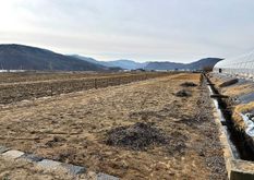 청운면 비룡리 진흥구역 주말농장/건물有
