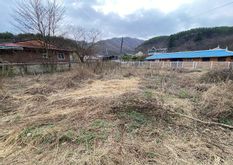 용문면 연수리 자연스런 마을 평지 주택지(구옥터;대지)