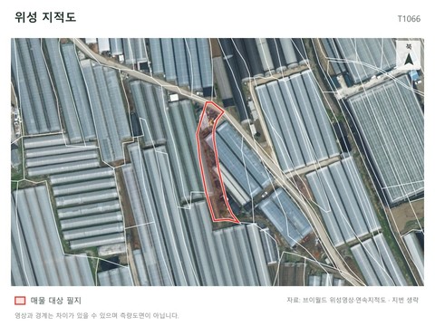 퇴촌면 정지리 그린벨트 하우스 원예꽃
